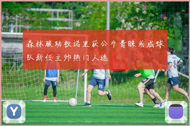 森林狼助教诺里获公牛青睐或成球队新任主帅热门人选