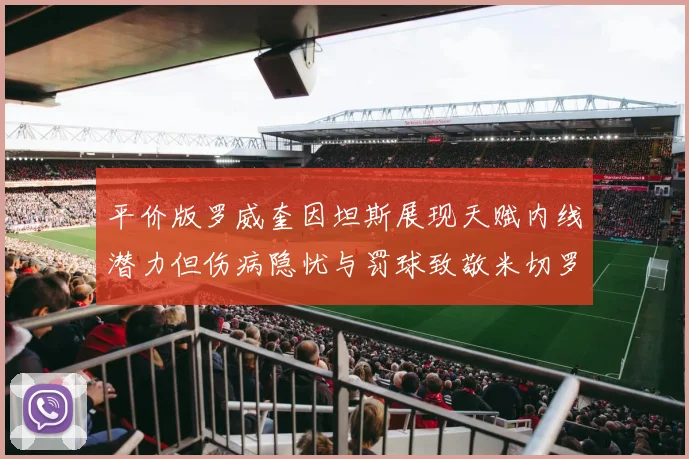 平价版罗威奎因坦斯展现天赋内线潜力但伤病隐忧与罚球致敬米切罗
